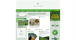 Desktop Screenshot of jcmaschietto.com.br